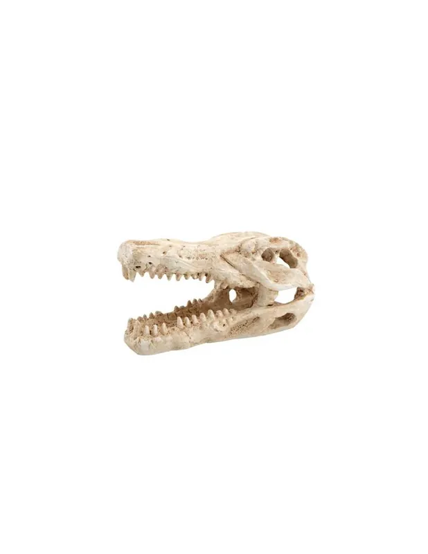KROKODIL KOPONYA akvárium-terrárium dekoráció 7,5x4,5x4,5cm (39169) Népszerű