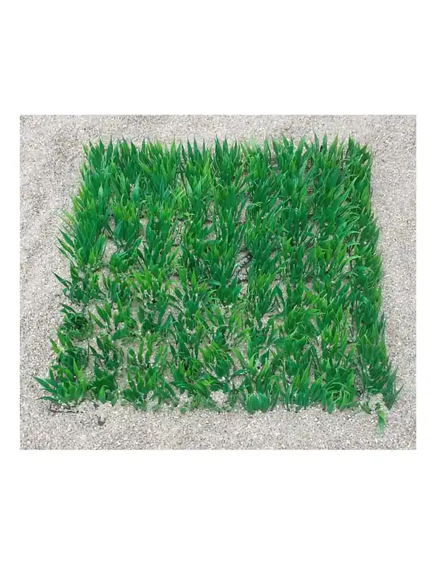 Azonnali szállítás Műnövény szőnyeg 25*25cm - lándzsafű (183.09/7)