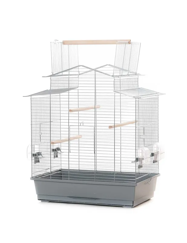 Expressz kézbesítés Inter-Zoo Iza 3 Open madárkalitka króm - 58x38x65cm