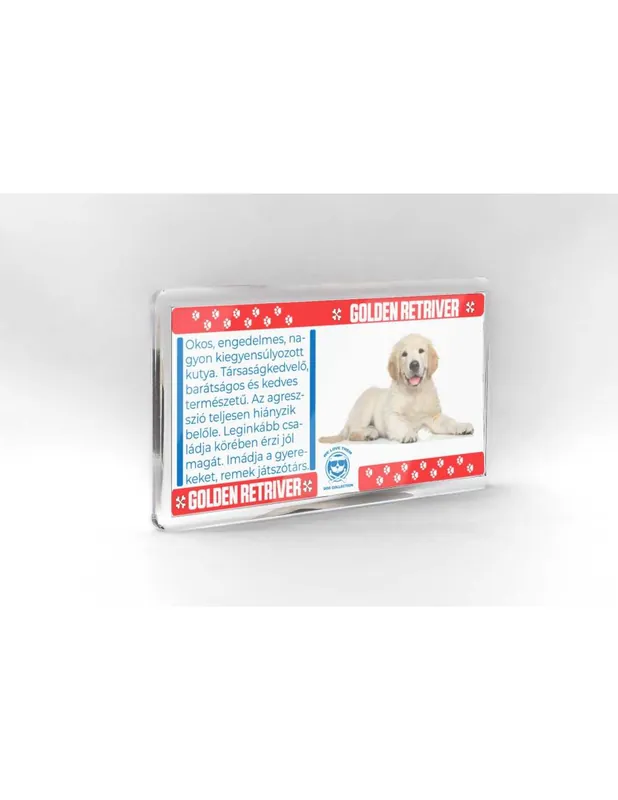 Kutyás hűtőmágnes 11*6cm - GOLDEN RETRIEVER Outlet