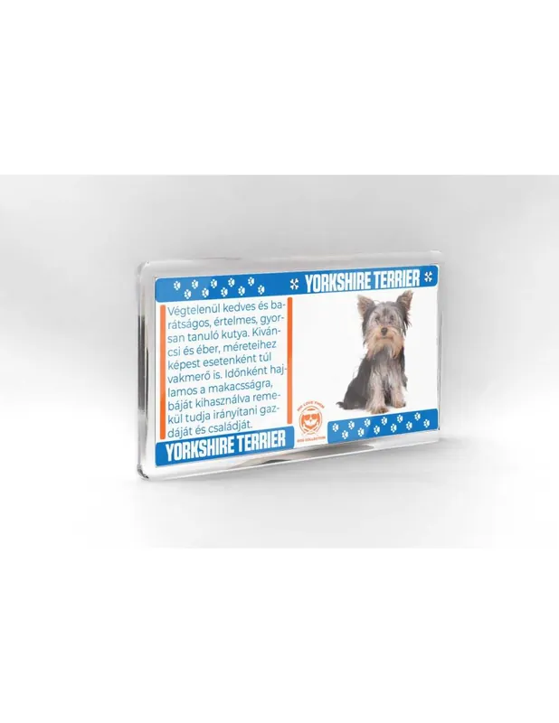 Kutyás hűtőmágnes 11*6cm - YORKSHIRE TERRIER Csak ma
