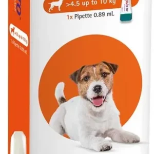 Bravecto spot-on kutya 4,5-10 kg 1 db Azonnal elérhető