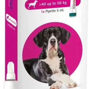 Bravecto spot-on kutya 40-56 kg 1db Nézd meg most