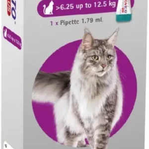 Korlátozott ajánlat Bravecto Plus spot-on macska 6,25-12,5 kg 1 db