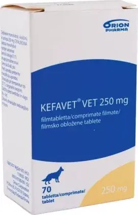 Prémium Kefavet Vet 250 mg tabletta 70 db
