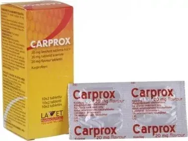 Kiárusítás Carprox 20 mg tabletta 20 db