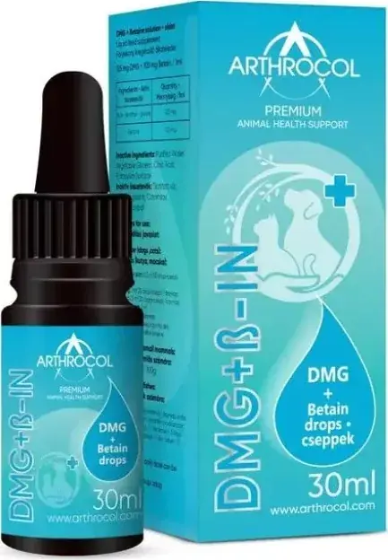Végkiárusítás Arthrocol DMG betaine oldat 30 ml