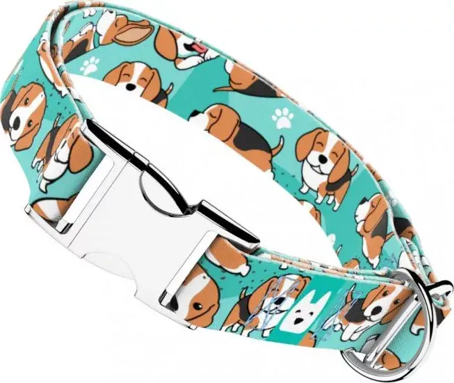 Exkluzív ajánlat April&June Beagle kék nyakörv