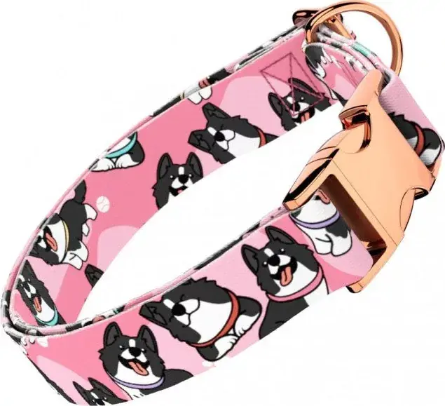April&June Border Collie rózsaszín nyakörv Outlet