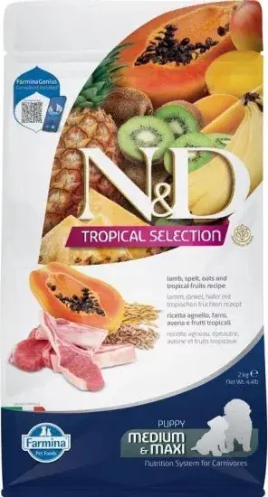 Vedd meg most N&D Tropical Selection Dog Lamb Puppy medium & maxi 2 kg