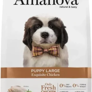 Nézd meg most AmaNova Dog LG Large Puppy Exquisite Chicken & Quinoa 12 kg