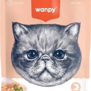 Outlet Wanpy CAT Tasty Meat Salmon & Chicken 90 g