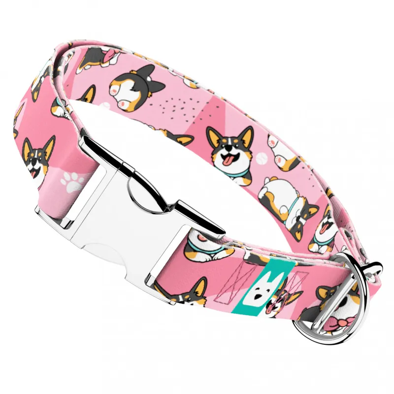 Biztonságos fizetés Pembroke Welsh Corgi, tricolor, rózsaszín - Kutya Nyakörv - april & june