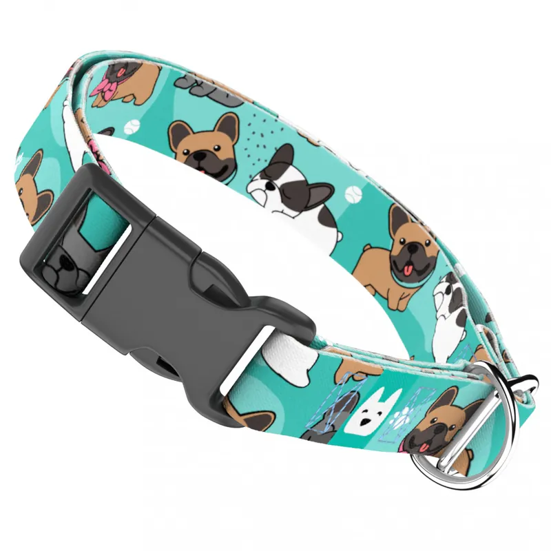 Francia Bulldog, kék - Kutya Nyakörv - april & june Ajánlat