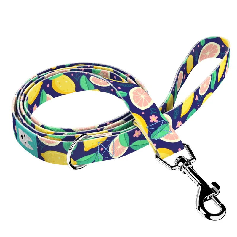 Bestseller Kék Citrom - Kutya Póráz - Blue Lemon - april & june