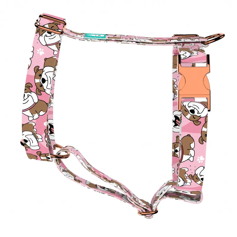 Expressz kézbesítés Angol bulldog, rózsaszín - Kutyahám és Macskahám - English Bulldog, pink - april & june