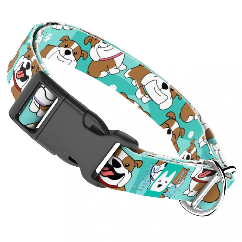 Angol bulldog, kék - Kutya Nyakörv - april & june Legkelendőbb