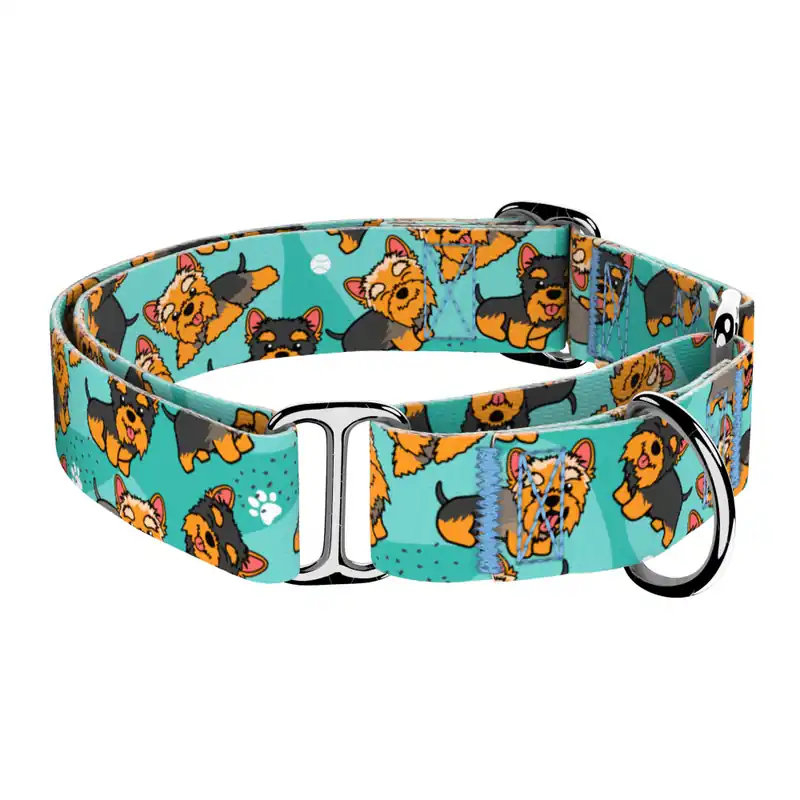 Yorkie, kék - Kutya Félfojtó Nyakörv - april & june Outlet
