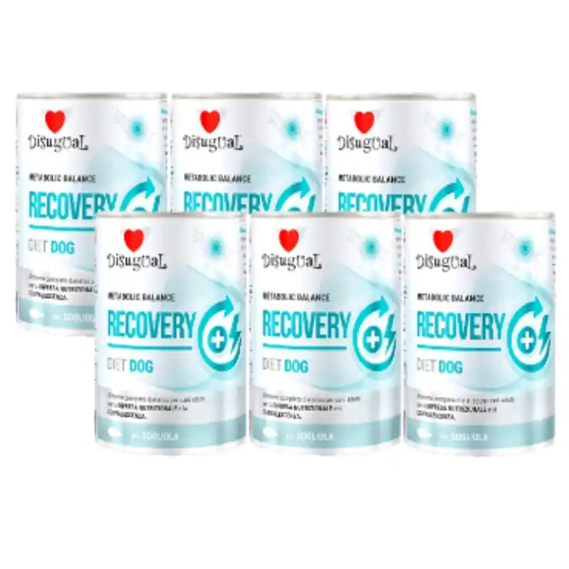 Disugual Karma nedves kutyaeledel, állatorvosi RECOVERY Sola (felnőtt) 6x400 g Rendeld meg most