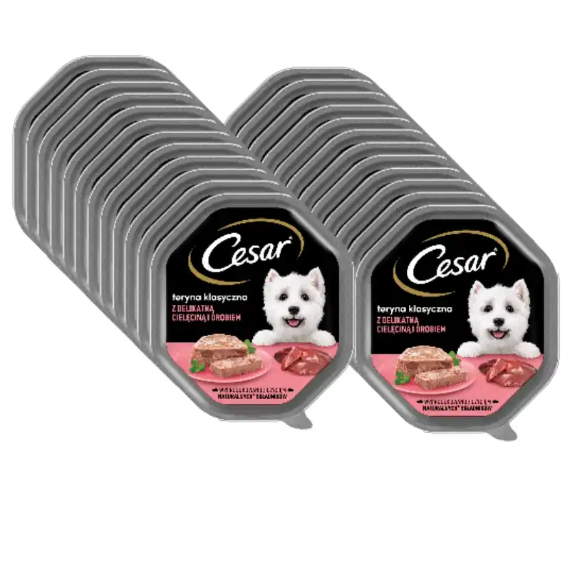 Exkluzív ajánlat CESAR tál 24x150 g – teljes értékű nedves eledel felnőtt kutyáknak, terrine puha borjúhússal és baromfival
