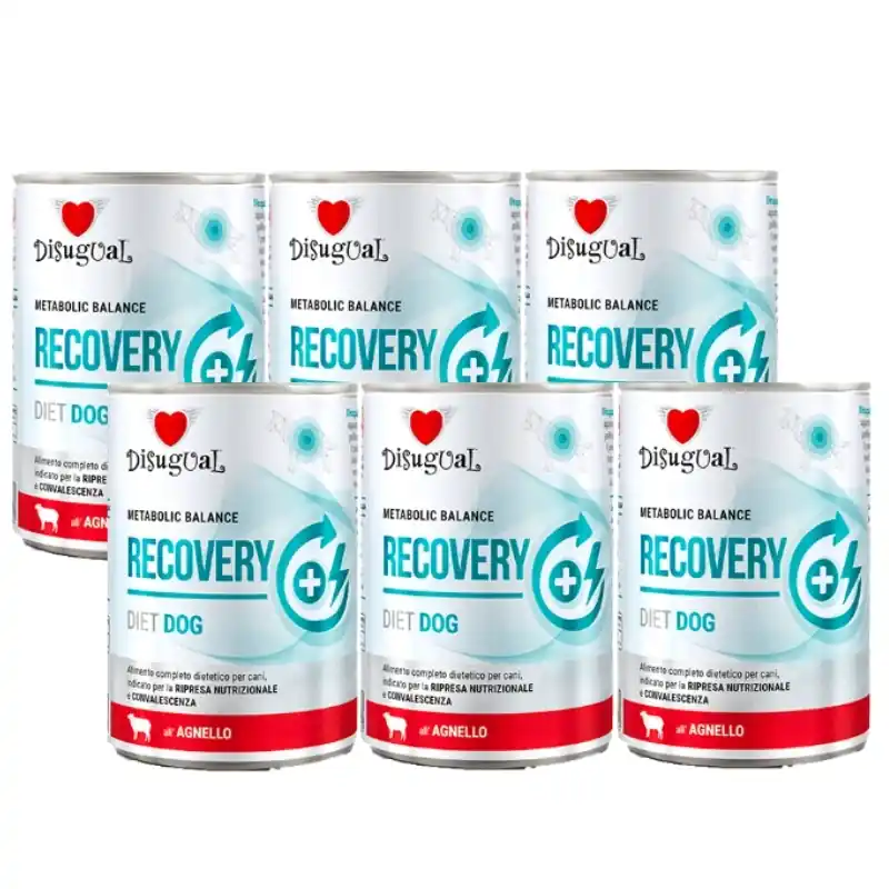 Disugual Recovery – Nedves, állatorvosi jellegű kutyatáp felnőtt kutyáknak, bárányhússal (6x400 g) Nézd meg most