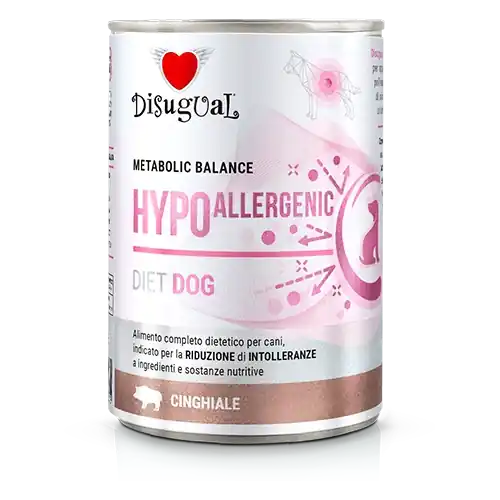 Alacsony ár Disugual Weterynaryjna HYPOALLERGENIC nedvestáp kutyáknak – vaddisznó (felnőtt), 400 g