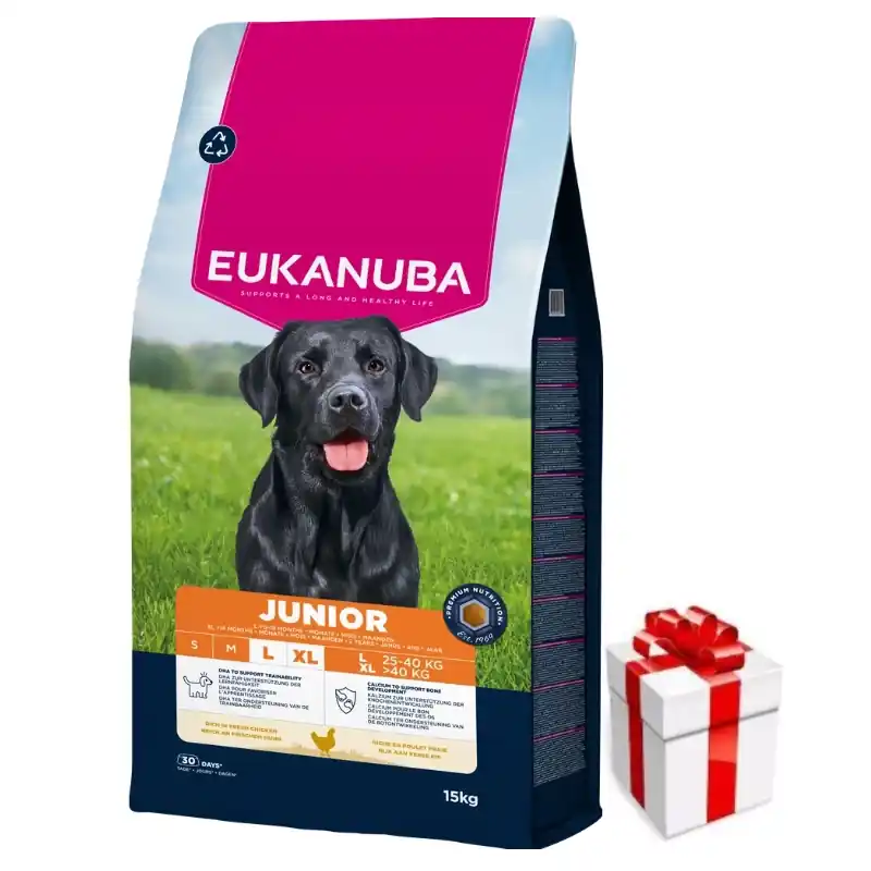 EUKANUBA Junior Large 15kg + ingyenes meglepetés a kutyának Expressz kézbesítés