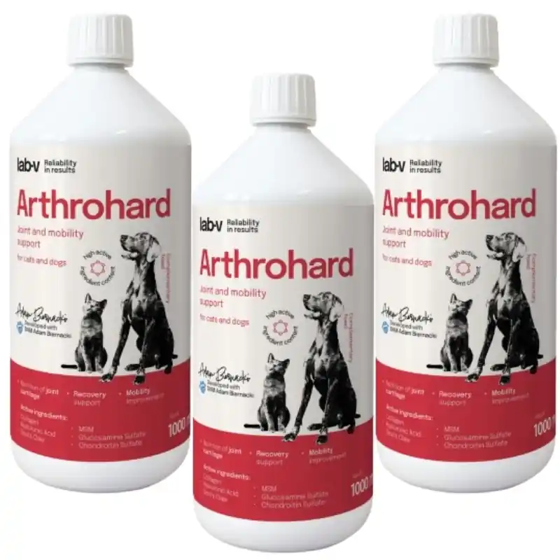 LAB-V Arthrohard 3x1000ml Ízület támogató formula kutyák és macskák számára Szuper akció