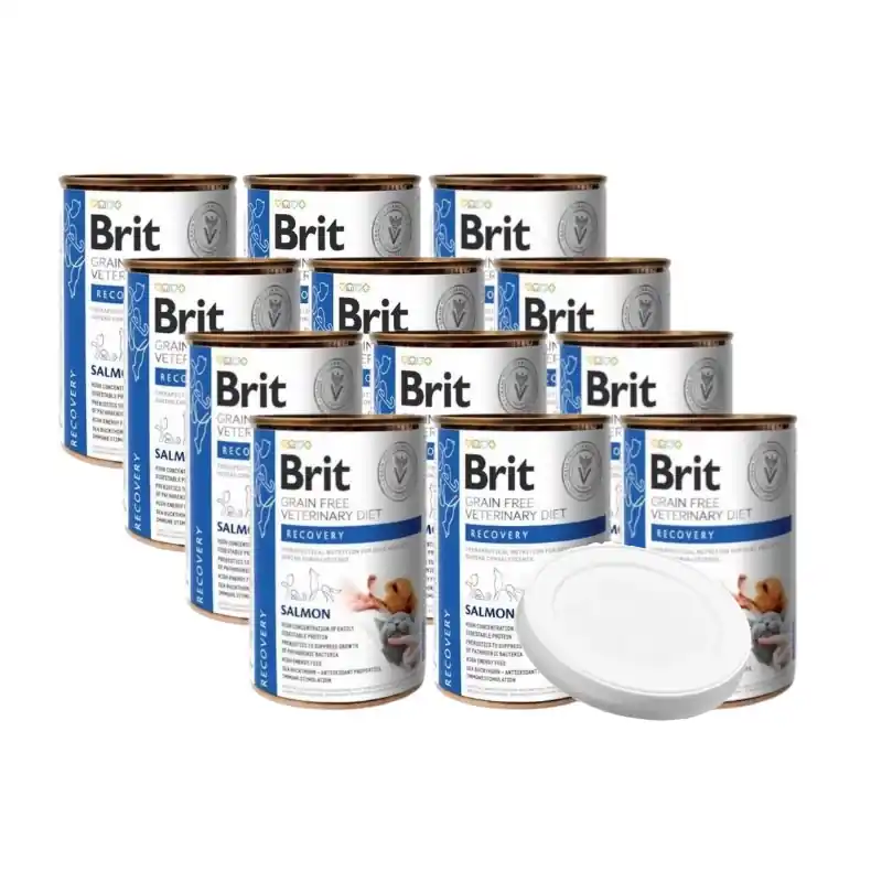 Brit Grain Free Veterinary Diet Dog/Cat Recovery Salmon 12x400g + fedél 400g-os konzervdobozhoz - 7.6cm FREE Végkiárusítás