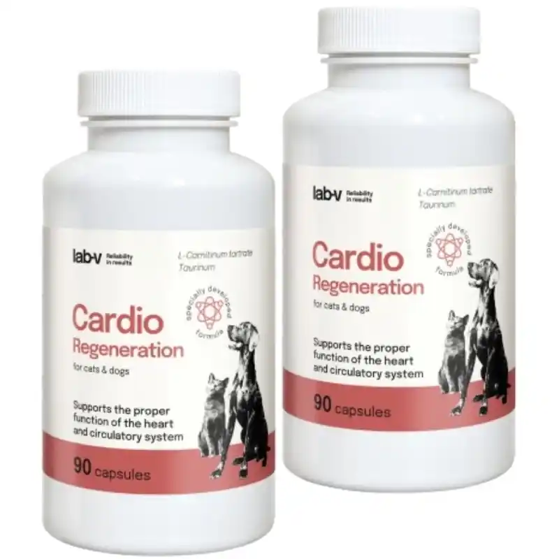LAB-V Cardio Regeneration - A szív és a keringési rendszer megfelelő működésének támogatása kutyák és macskák számára 2x90 kapszula Ne maradj le