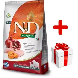 Ajánlat Farmina N&D Grain Free Adult Medium Maxi Chicken & Pomegranate With Pumpkin 12kg + MEGLEPETÉS A KUTYÁDNAK