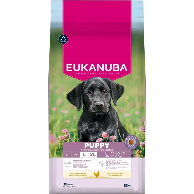 Alacsony ár Eukanuba Puppy & Junior nagy testű kutyáknak 15 kg