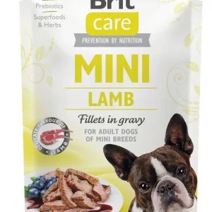 Ajánlat Brit Care Mini bárányfilé 85g