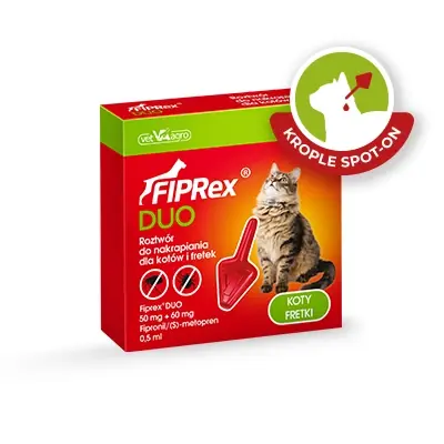 Vásárlói kedvenc FIPREX DUO 50 mg + 60 mg cseppoldat macskák és görények számára