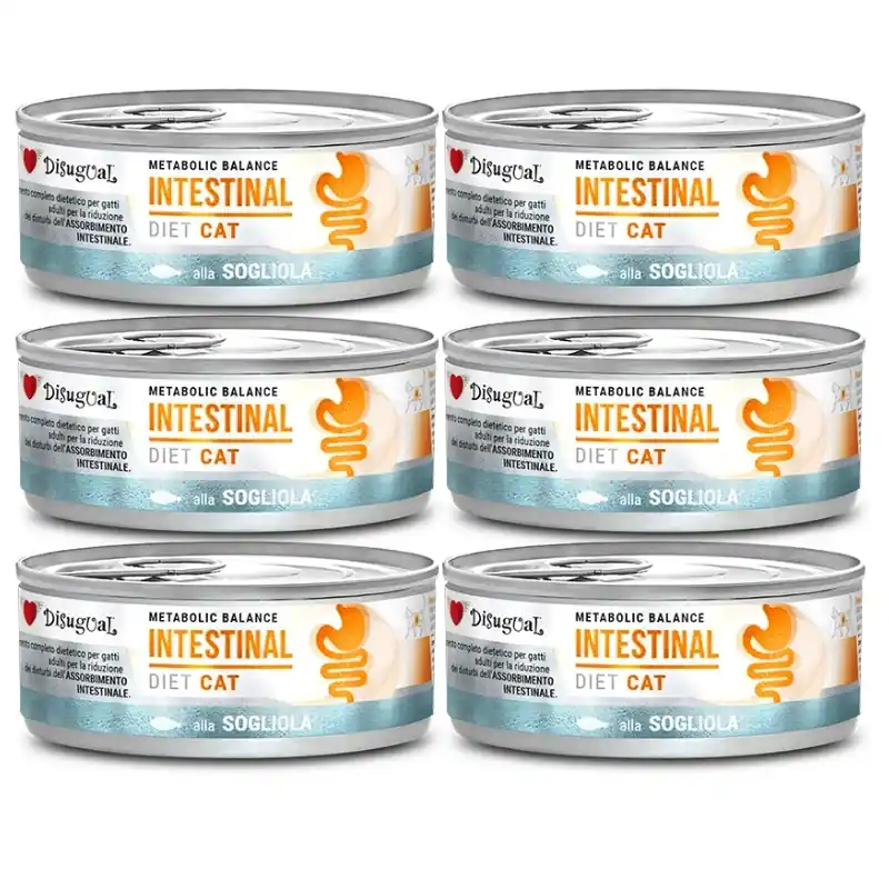 Exkluzív ajánlat Disugual Karma nedves macskaeledel, állatorvosi INTESTINAL Sola (felnőtt macskáknak) 6x85 g