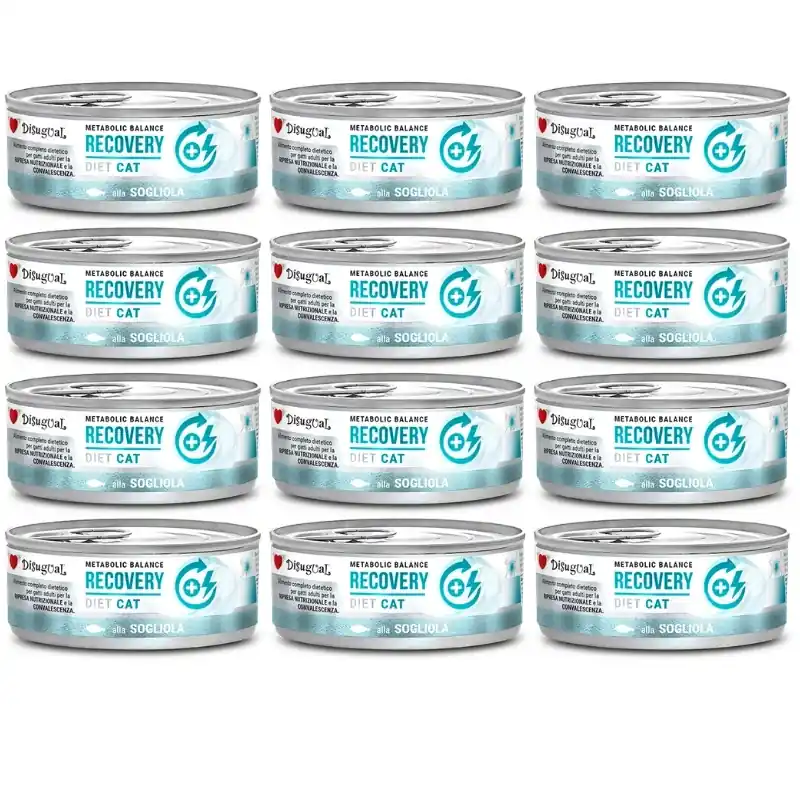 Disugual Karma nedves macskaeledel, állatorvosi RECOVERY Sola (felnőtt) 12x85 g Akciós ár