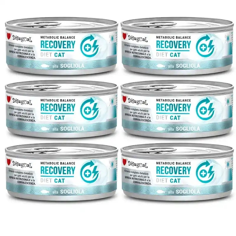 Disugual Karma nedves macskaeledel, állatorvosi RECOVERY Sola (felnőtt) 6x85 g Utolsó esély