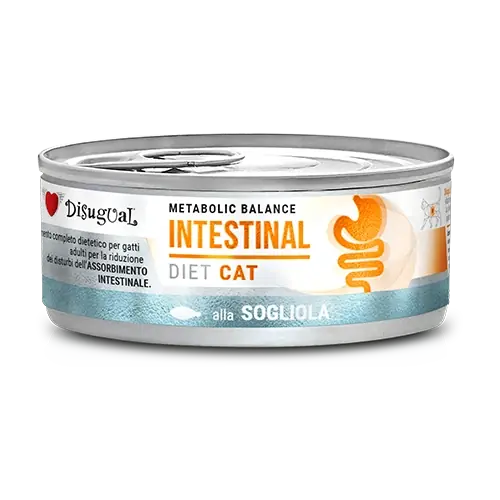 Kedvezményes ár Disugual Karma nedves macskaeledel, állatorvosi INTESTINAL Sola (felnőtt macskáknak) 85 g