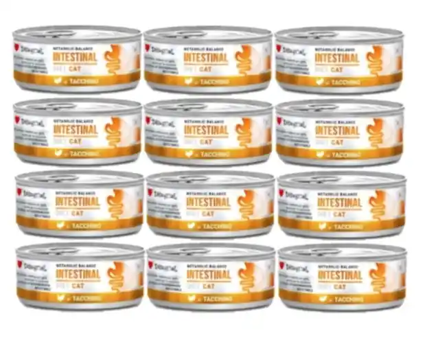 Újdonság Disugual nedves macskaeledel állatgyógyászati célra bélrendszeri pulyka (felnőtt) 12x85g