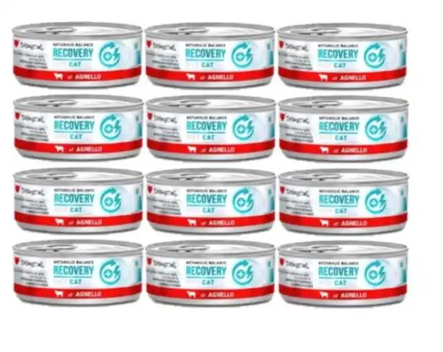 Disugual Nedves macskaeledel Állatorvosi RECOVERY Bárány (felnőtt) 12x85 g Prémium