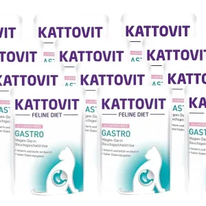 Ajánlat Kattovit Gastro lazac 12x85g