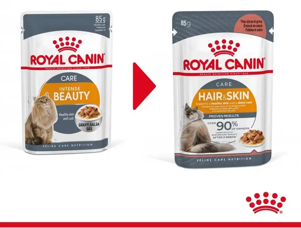 Különleges ajánlat ROYAL CANIN Hair&Skin Care 12x85g nedves eledel szószban felnőtt macskáknak, egészséges bőr, szép szőrzet