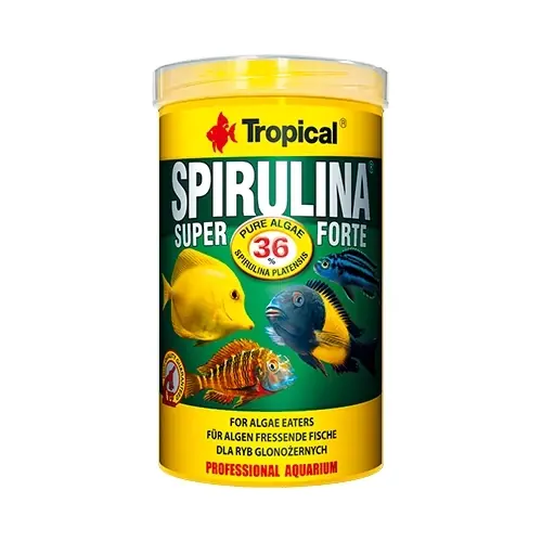 Gyors szállítás Trópusi szuper spirulina forte 250 ml