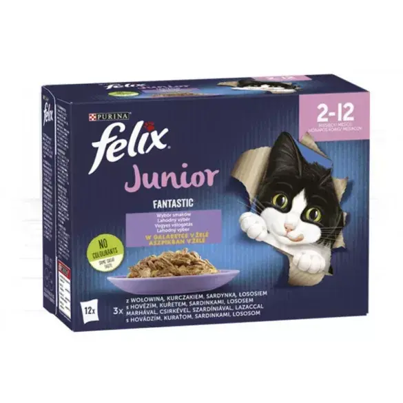 Felix Junior fantastic vegyes válogatás 12x85g Népszerű