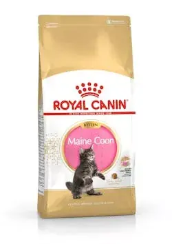 Rendeld meg most Maine Coon Kitten 400gr kölyök fajtatáp