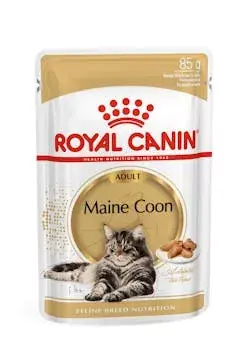 Különleges ajánlat Royal Canin 12*85gr Maine Coon nedves eledel