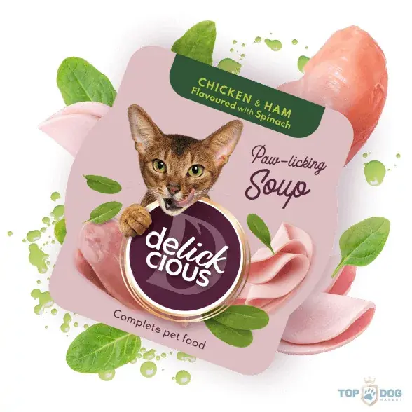 Gyors kiszállítás Delickcious Soup 80g Csirke Sonka