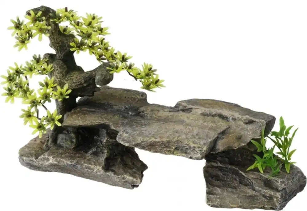 Gyors kiszállítás Europet Bonsai kövön