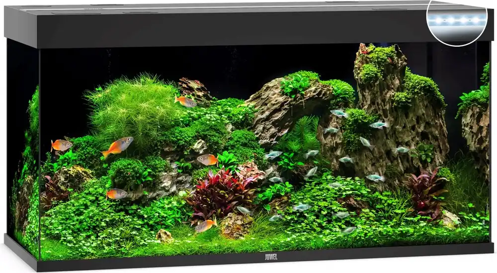 Juwel Rio 350 LED akvárium, Fehér Újdonság
