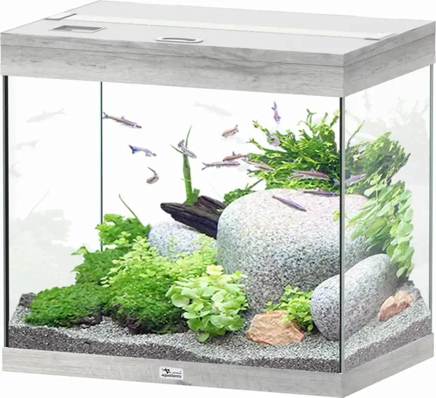 Aquatlantis Splendid 110 kőris fehér akvárium Nézd meg most